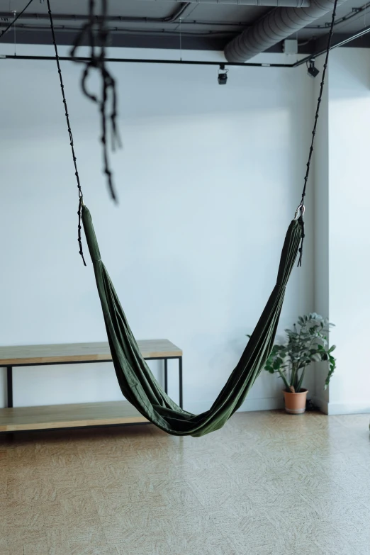 an empty room with a hammock hanging from the ceiling, unsplash, sōsaku hanga, dark green, product introduction photo, large chain, olive