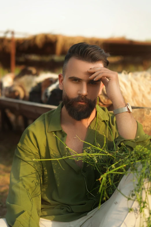 a man sitting in front of a herd of sheep, by Galen Dara, pexels contest winner, romanticism, square masculine facial features, wearing green, vitaly bulgarov, bearded beautiful man