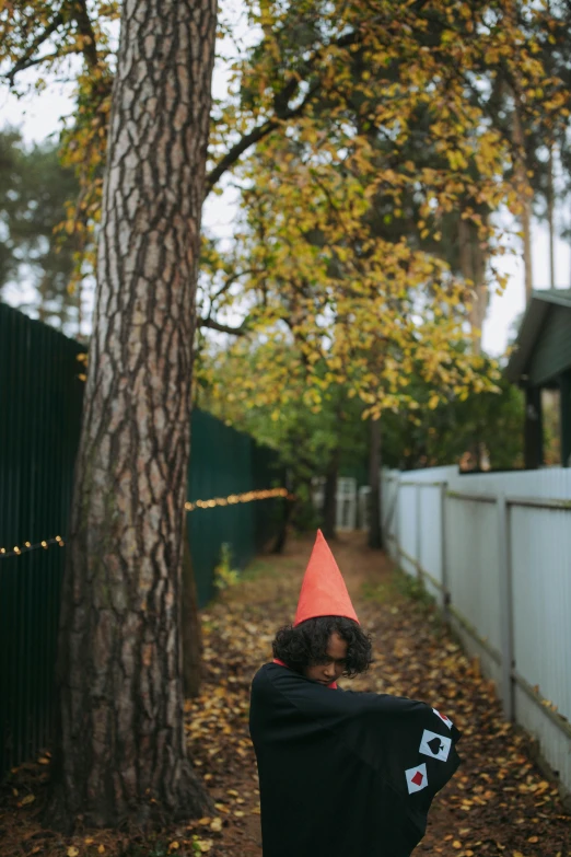 a little boy dressed up as a gnome, an album cover, by Attila Meszlenyi, unsplash, conceptual art, in a suburban backyard, cone shaped, sittin, in a halloween style