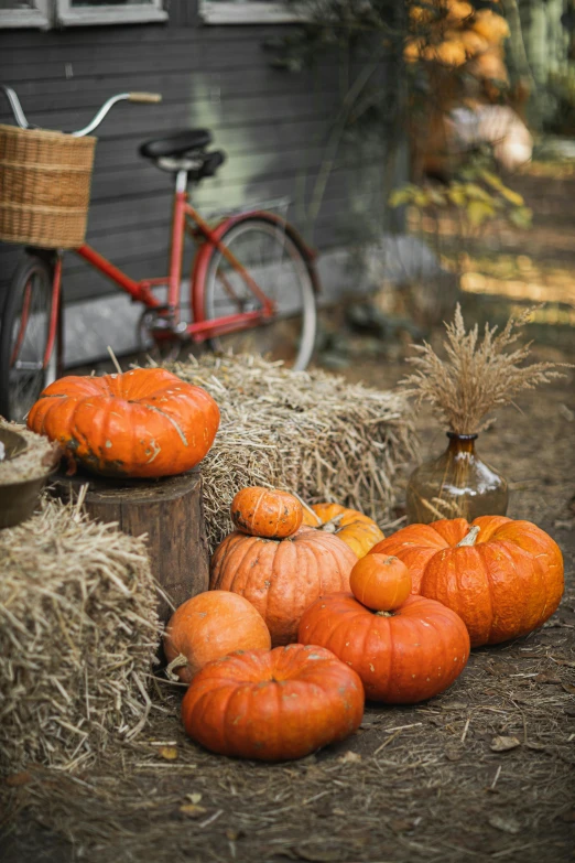 a bunch of pumpkins sitting on top of a pile of hay, bicycles, cottagecore, profile image, orange grass