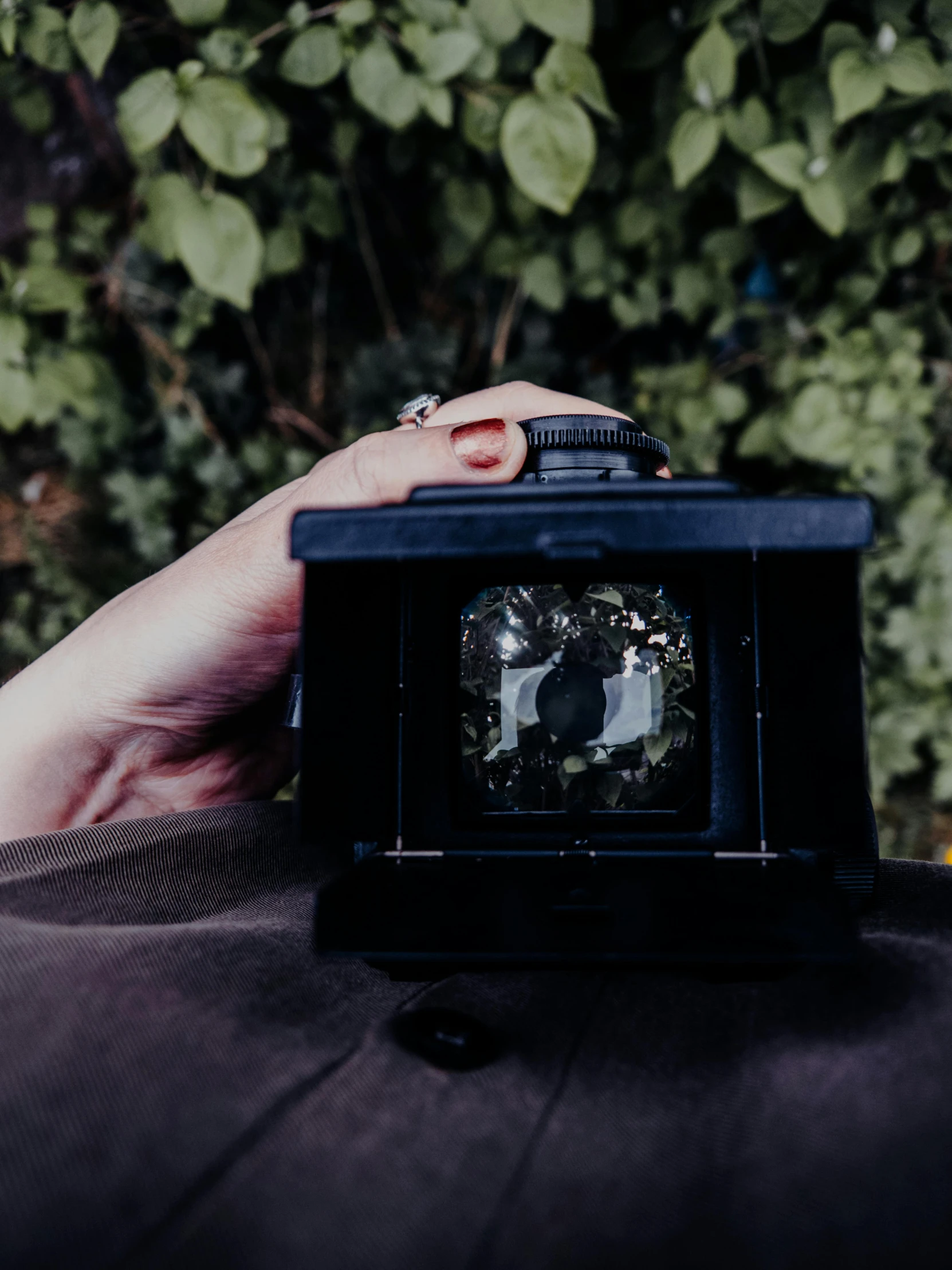 a close up of a person holding a camera, inspired by Elsa Bleda, unsplash, video art, “diamonds, photo taken on an old box camera, goth aesthetic, nature outside