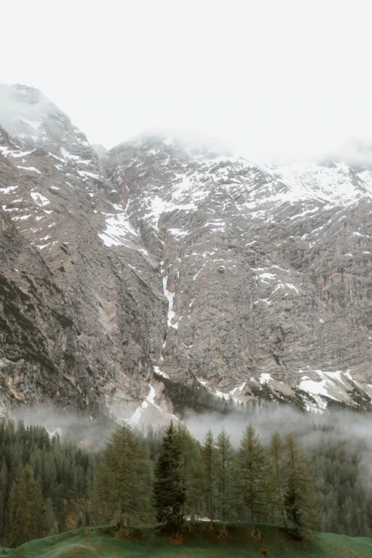 a herd of cattle grazing on top of a lush green field, a matte painting, inspired by Thomas Struth, trending on unsplash, romanticism, snowy italian road, mist from waterfall, lago di sorapis, winter