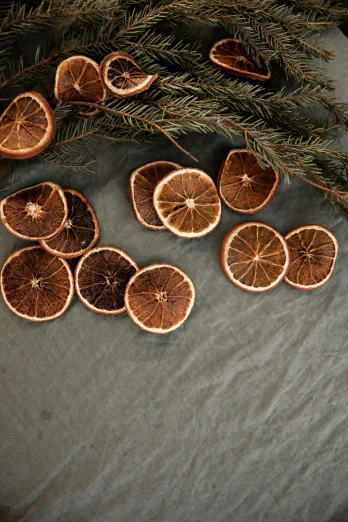 a bunch of oranges sitting on top of a table, dried plants, circles, dark backdrop, - n 9