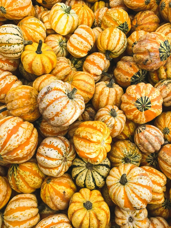 a pile of small pumpkins sitting on top of each other, pexels, renaissance, 2 5 6 x 2 5 6 pixels, striped, vibrant patterns, 4k)