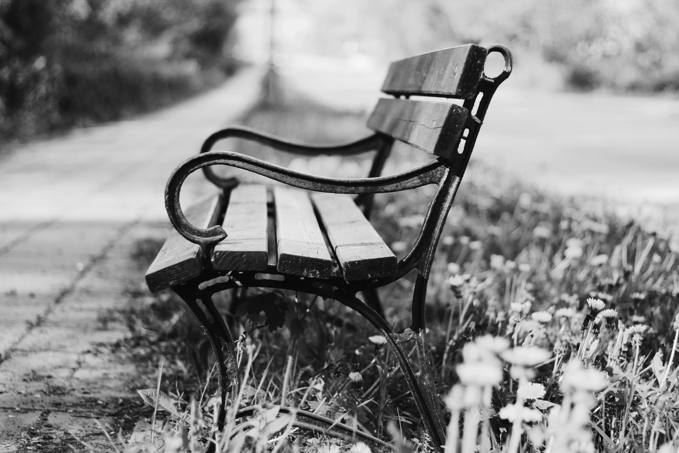 a black and white photo of a park bench, unsplash, springtime, andrey gordeev, old film photo, chair