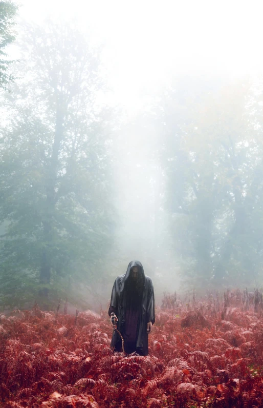 a person standing in a field of red flowers, inspired by Brooke Shaden, pexels contest winner, conceptual art, in a foggy mossy forest, back view of the grim reaper, still from a music video, ((mist))