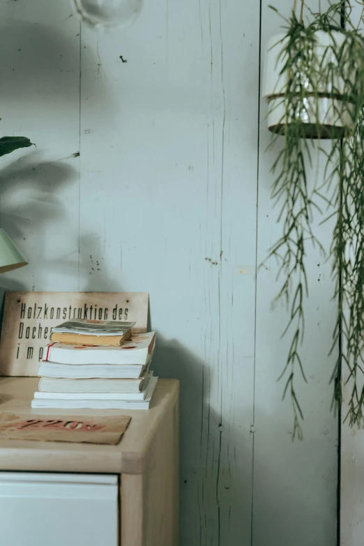 a potted plant sitting on top of a wooden table, inspired by Elsa Bleda, trending on unsplash, holding a stack of books, posters on the wall, low quality photo, cottagecore