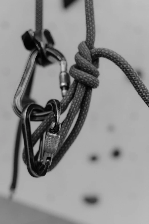 a close up of a rope with a carabine, a black and white photo, unsplash, made of wire, harnesses, hook as ring, stacked image