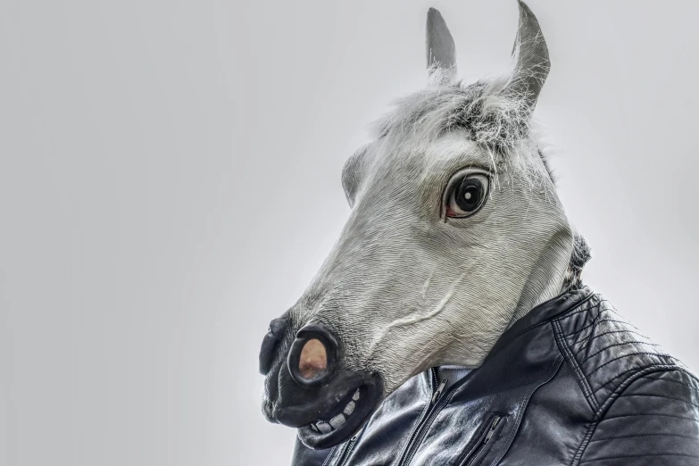 a white horse wearing a black leather jacket, by Adam Marczyński, pexels contest winner, photorealism, gray anthropomorphic, face covered, human-animal hybrid, extreme lifelike