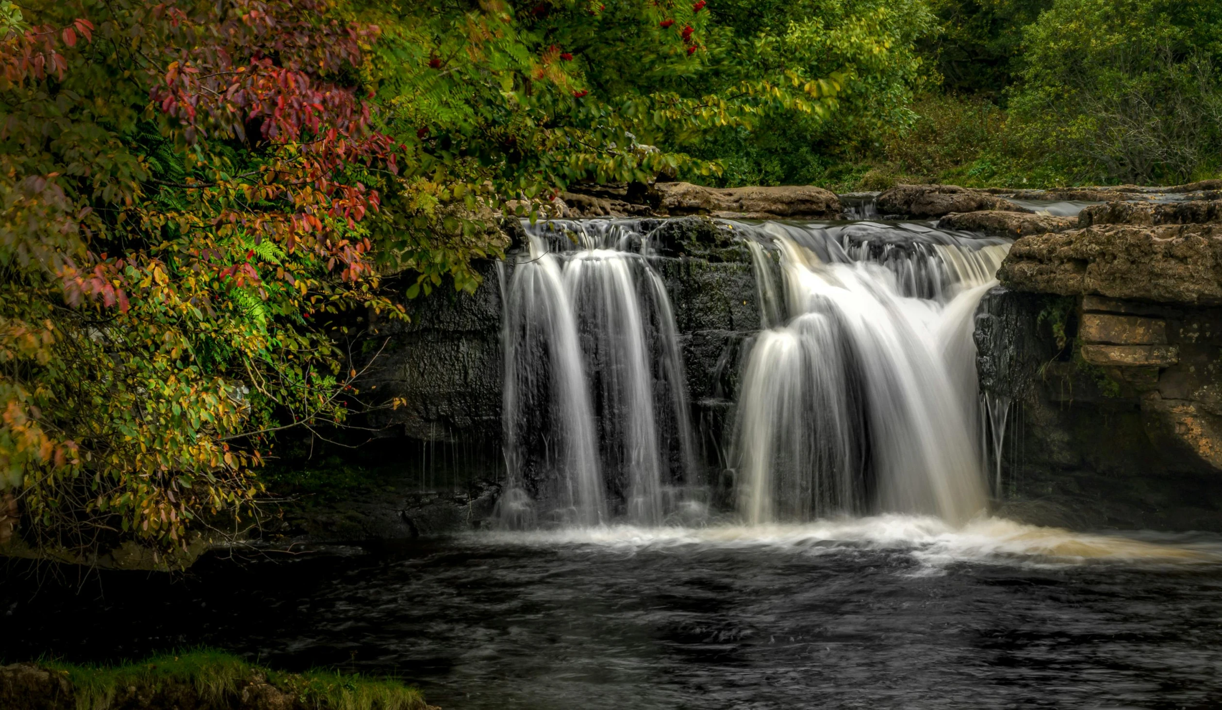 a waterfall flowing through a lush green forest, pexels contest winner, hudson river school, mid fall, black, marsden, slide show