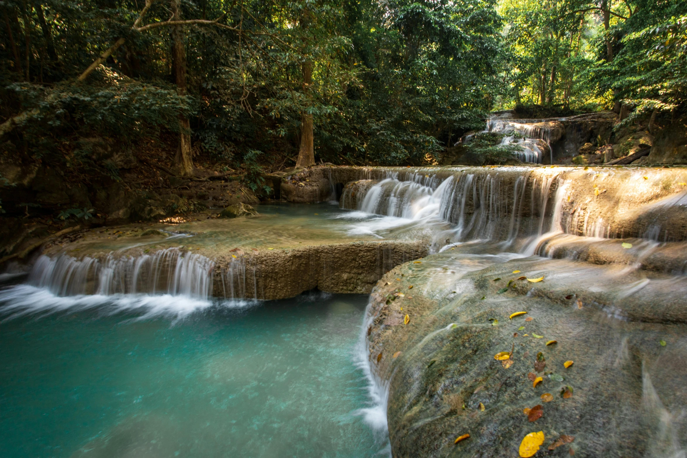 a waterfall flowing through a lush green forest, an album cover, pexels contest winner, sumatraism, white travertine terraces, thailand, blue waters, brown
