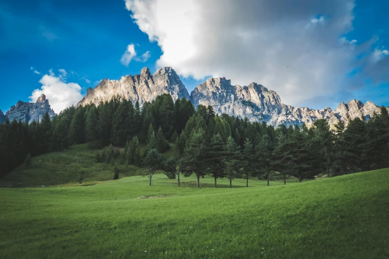 a grassy field with trees and mountains in the background, by Carlo Martini, pexels contest winner, limestone, pine trees, elegant, high quality image”