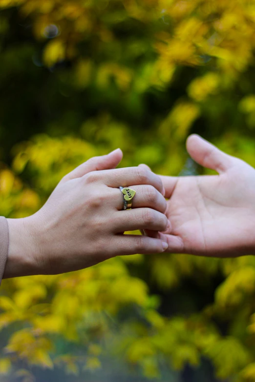 a close up of two people holding hands, by Julia Pishtar, green and yellow, ring, overlooking, autumnal