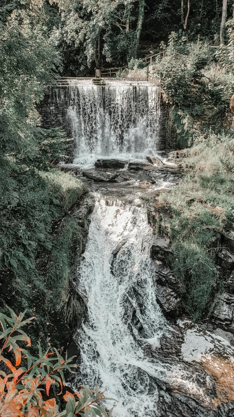 a waterfall in the middle of a lush green forest, an album cover, unsplash contest winner, shiny and sparkling, trending on vsco, gardens and fountains, low shutter speed