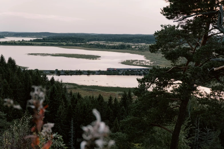 a train traveling through a forest next to a lake, by Jesper Knudsen, unsplash, hurufiyya, on the top of a hill, low quality photo, summer evening, shot on hasselblad