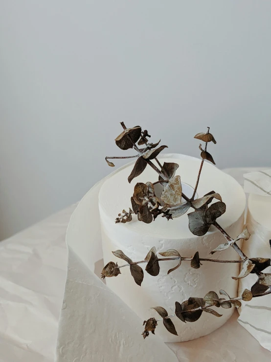 a white cake sitting on top of a table, by Tan Ting-pho, trending on unsplash, art nouveau, dried leaves, “ iron bark, ignant, eucalyptus