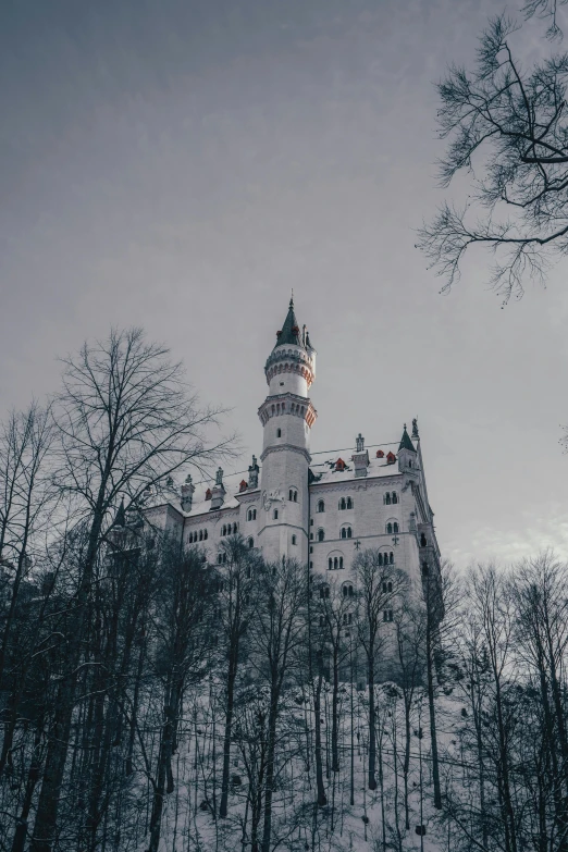 a castle sitting on top of a snow covered hill, gloomy forest, german renaissance architecture, top selection on unsplash, multiple stories