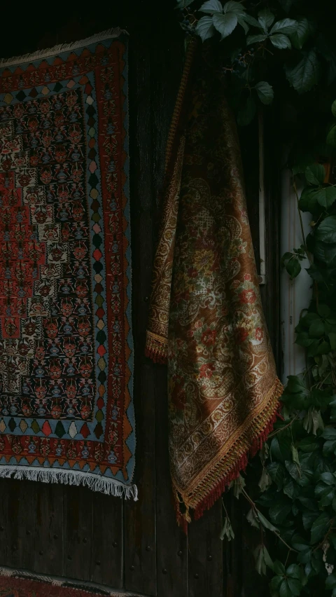 a couple of rugs hanging on the side of a building, unsplash contest winner, qajar art, brown red blue, indoors, embroidered brocade, botanicals