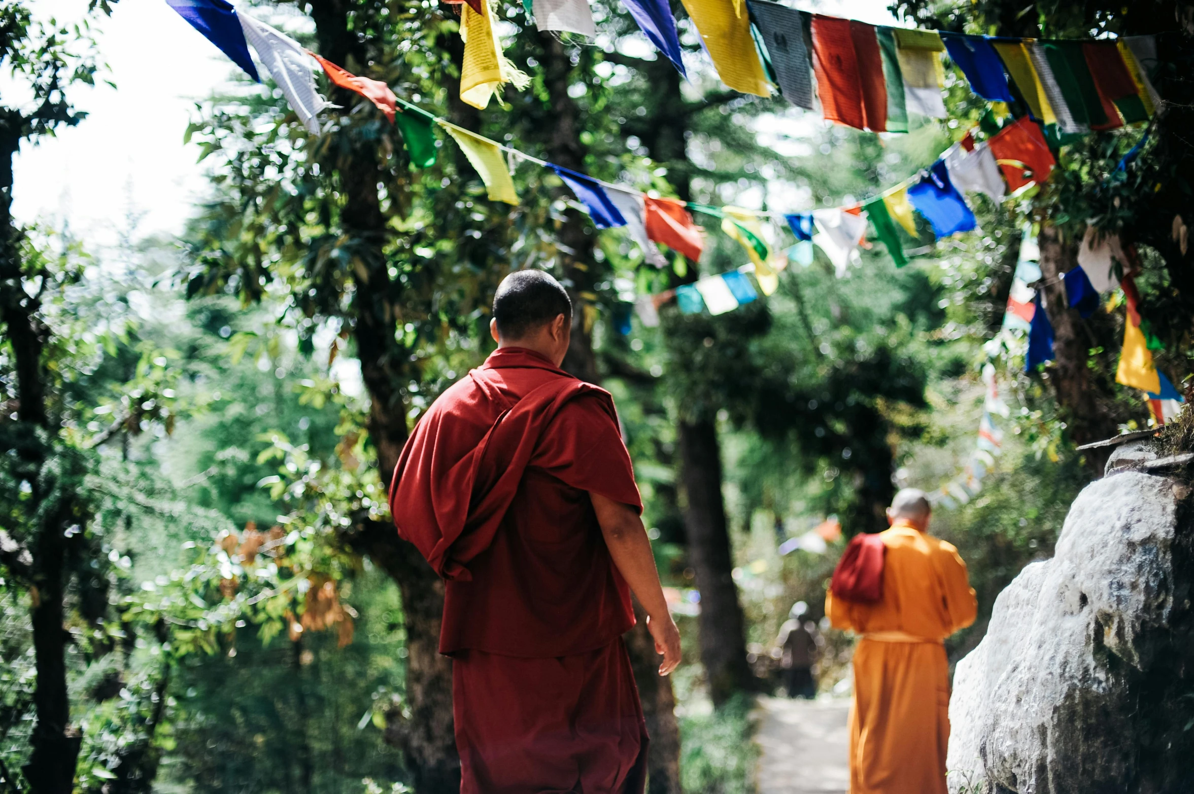 a couple of men walking down a dirt road, colorful robes, buddhism, profile image