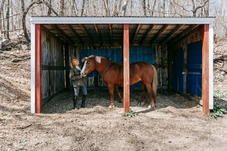 a woman standing next to a brown horse, by Julia Pishtar, unsplash contest winner, inside a shed, rectangle, emily rajtkowski, in the yard