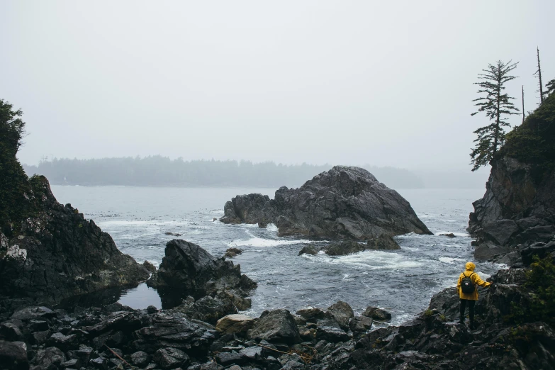 a man standing on top of a rocky beach next to the ocean, by Jessie Algie, pexels contest winner, foggy rainy day, turtle. pacific northwest coast, scattered islands, grey