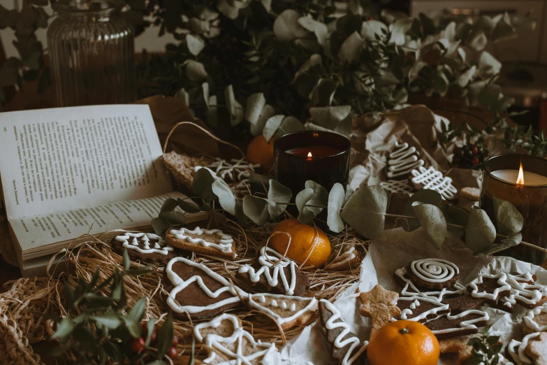 an open book sitting on top of a wooden table, a still life, by Daniel Lieske, pexels contest winner, folk art, cookies, christmas, thumbnail, background image