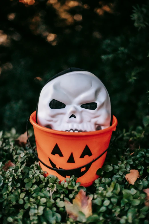 a halloween pumpkin bucket with a ghost face in it, pexels, vanitas, zippered opening in skull, official, seasonal, little