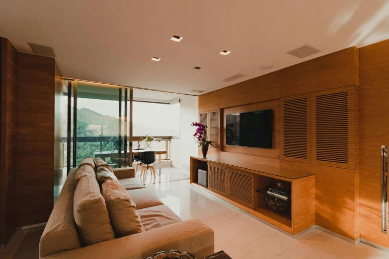 a living room filled with furniture and a flat screen tv, by Felipe Seade, pexels contest winner, light and space, amazing view, wood panel walls, clean and pristine design, brown