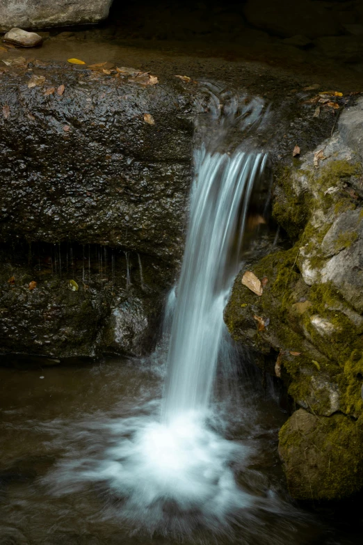 a small waterfall flowing through a lush green forest, unsplash, smooth cave rock, color ( sony a 7 r iv, malibu canyon, fall