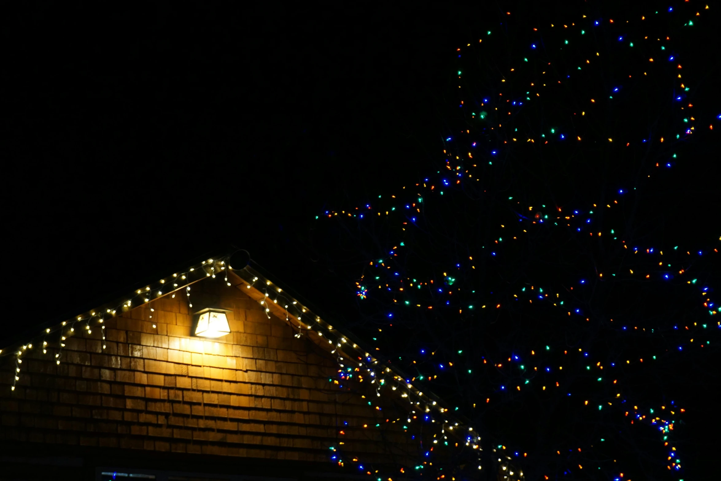 a lighted christmas tree in front of a house, by Carey Morris, pexels, realism, blue and green light, shot from roofline, cottage close up, multicolored