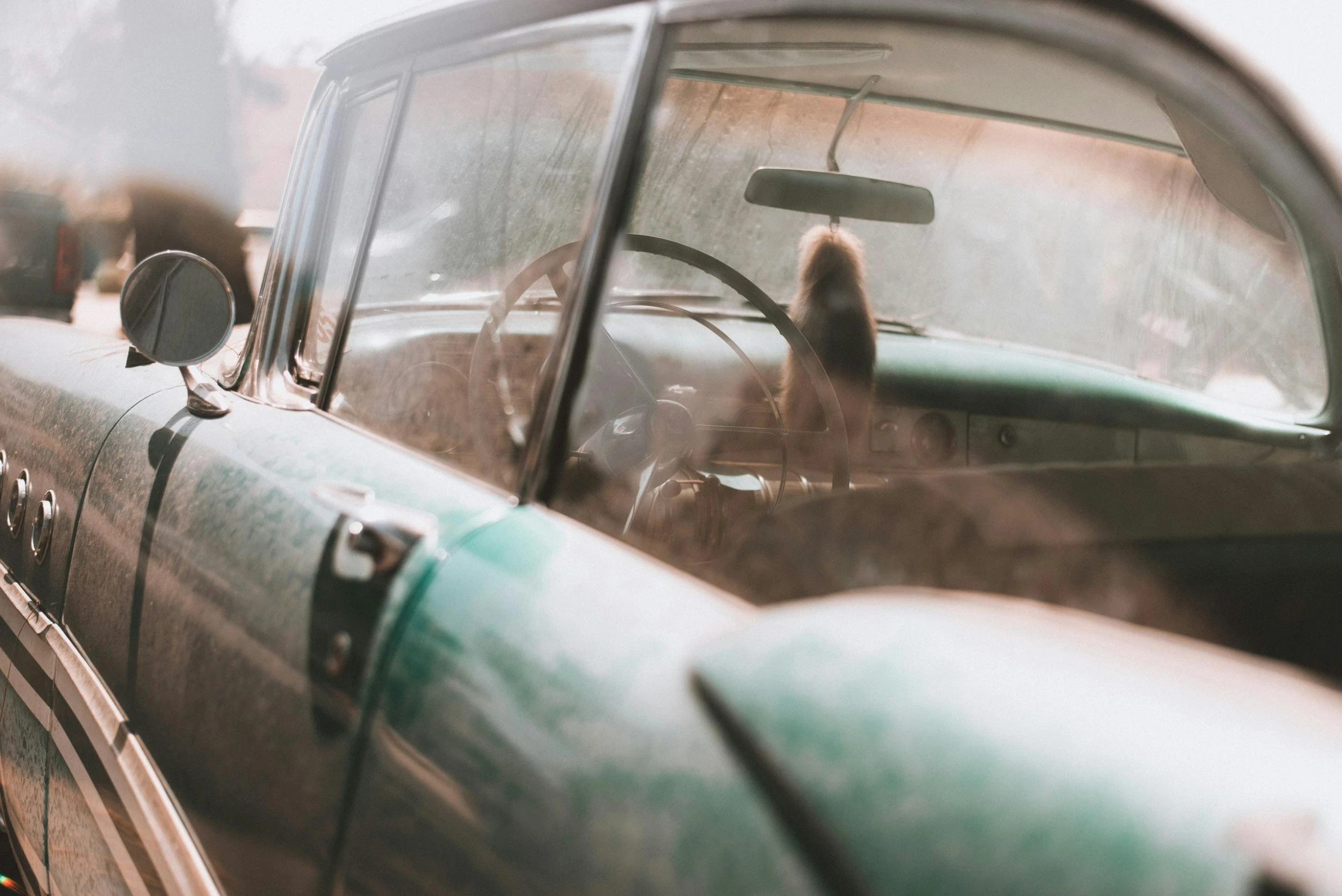a dog sticking its head out the window of a car, inspired by Elsa Bleda, pexels contest winner, vintage car, partially covered with dust, green pickup car, retro haze