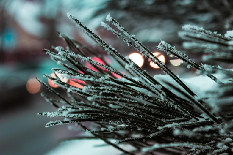 a close up of a tree with snow on it, a macro photograph, by Adam Marczyński, pexels, auto-destructive art, wires with lights, shallow depth of field hdr 8 k, thumbnail, cyberpunk ornaments