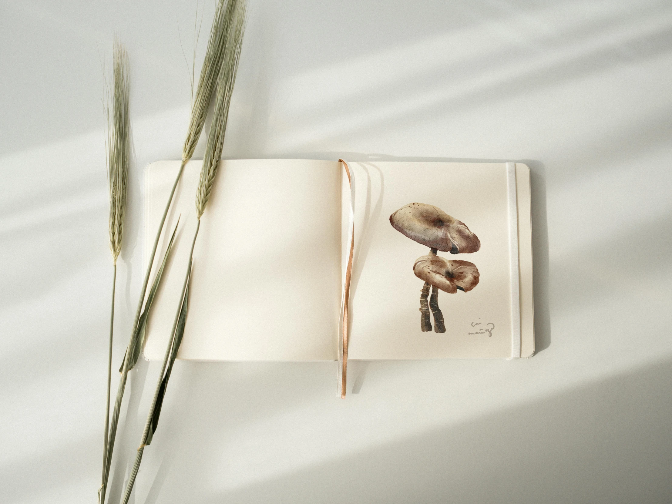 a book sitting on top of a table next to a plant, a watercolor painting, inspired by Elsa Beskow, unsplash, conceptual art, made of mushrooms, white sketchbook style, shot on hasselblad, dried plants