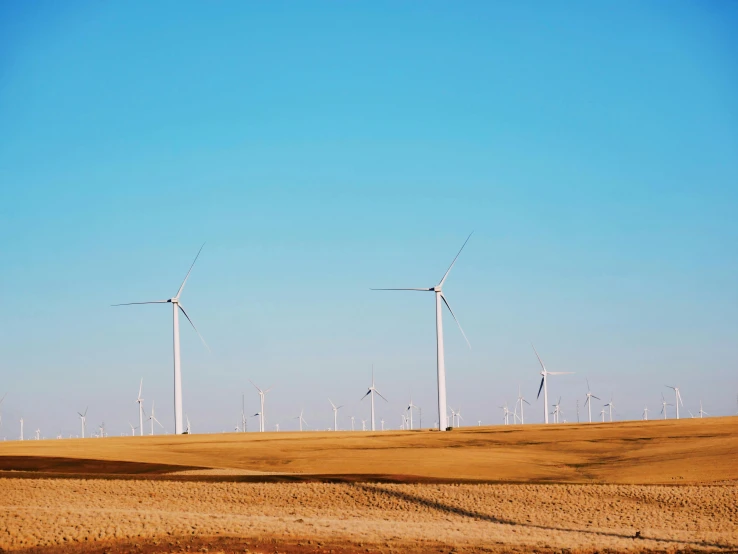 a group of wind turbines sitting on top of a dry grass field, by Carey Morris, pexels contest winner, clear blue skies, computer wallpaper, background image