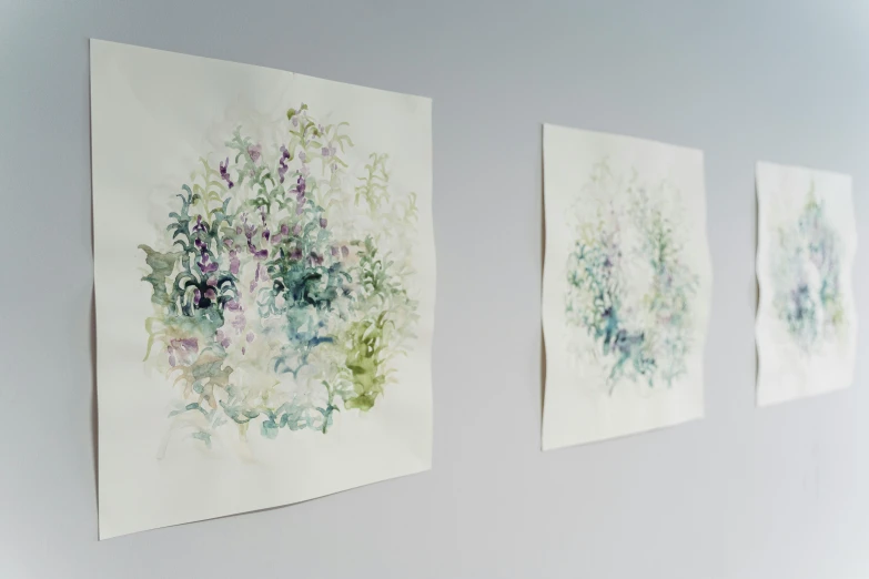 three watercolor paintings hanging on a wall, by Rainer Maria Latzke, delicate garden on paper, green and purple, on vellum, various sizes