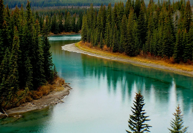 a river running through a forest filled with trees, inspired by James Pittendrigh MacGillivray, pexels contest winner, banff national park, flat curves, teal aesthetic, pine trees