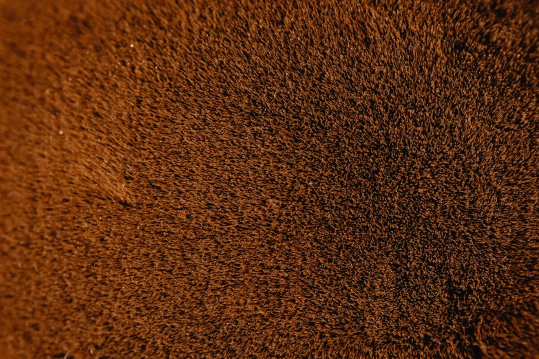 a close up of a teddy bear's fur, a macro photograph, by Thomas Häfner, pexels, renaissance, plush leather pad, copper, birdseye view, fabric texture