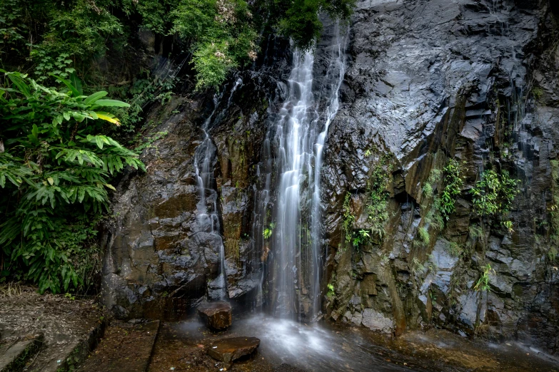 a waterfall in the middle of a lush green forest, hurufiyya, abel tasman, water running down the walls, wet rocks, thumbnail