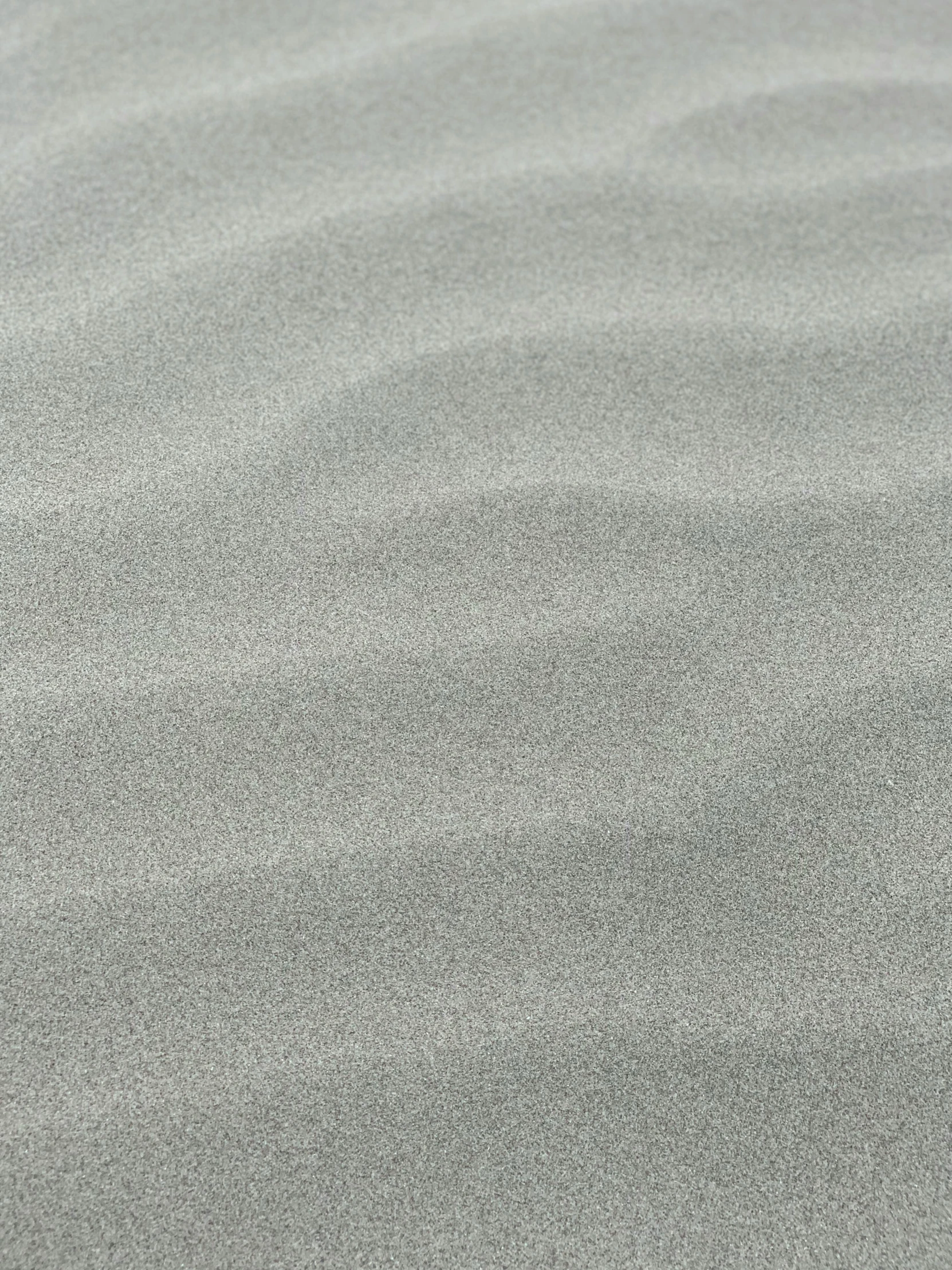 a bird standing on top of a sandy beach, a stipple, inspired by Vija Celmins, unsplash, seamless micro detail, ((waves, light grey mist, detail shot