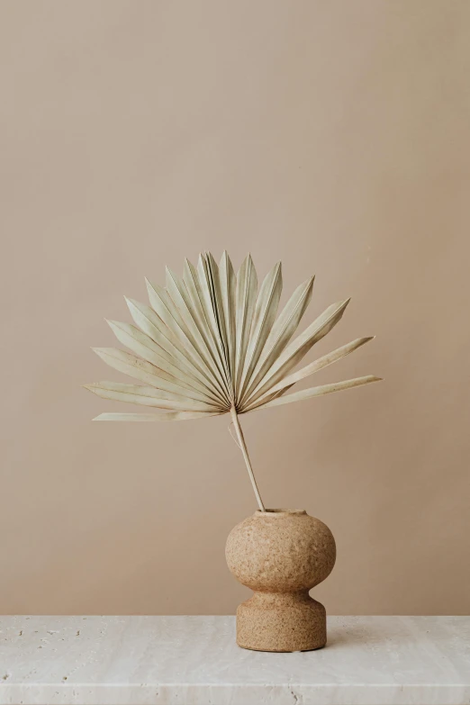 a close up of a plant in a vase on a table, by Cosmo Alexander, palm skin, on simple background, textured base ; product photos, small crown