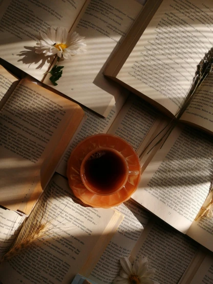 a cup of coffee sitting on top of an open book, trending on unsplash, romanticism, thumbnail, light and shadow, multiple stories, is ((drinking a cup of tea))