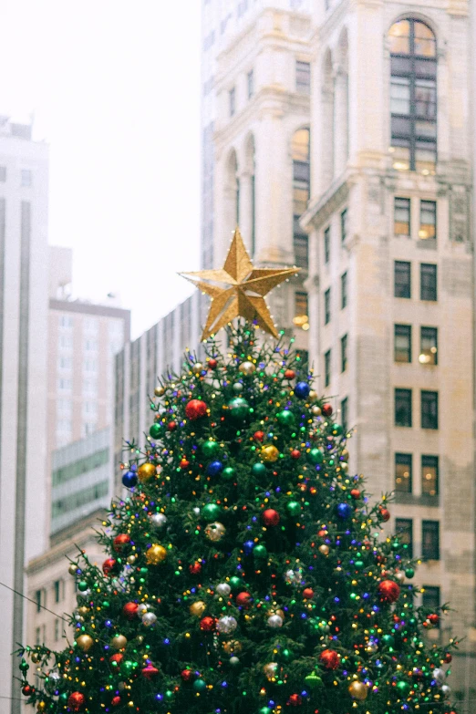 a large christmas tree in the middle of a city, pexels contest winner, folk art, chicago, full body close-up shot, square, stars on top of the crown