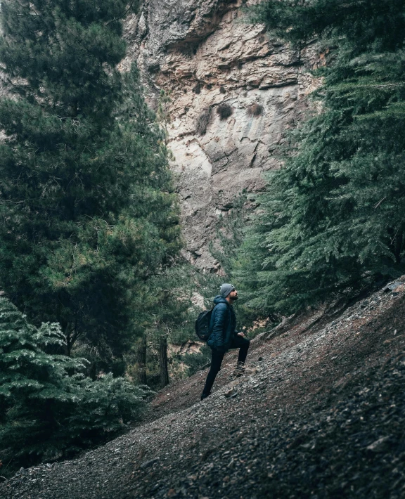 a person walking up a hill in the woods, rocky terrain, portrait featured on unsplash, pine trees in the background, climbing