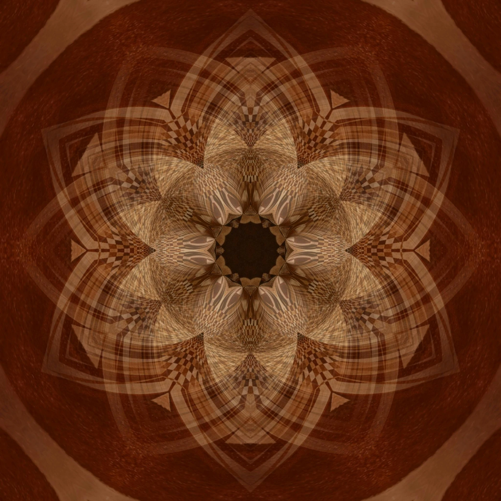 a close up of a flower on a brown background, inspired by Anna Füssli, generative art, yantra, digital art - n 9, ornate wood, abstract artwork