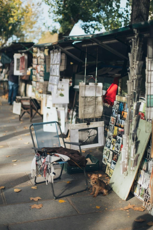 a dog sitting on the sidewalk in front of a market, a picture, trending on unsplash, visual art, an alley in paris in winter, stands at a his easel, old furnitures, magazines