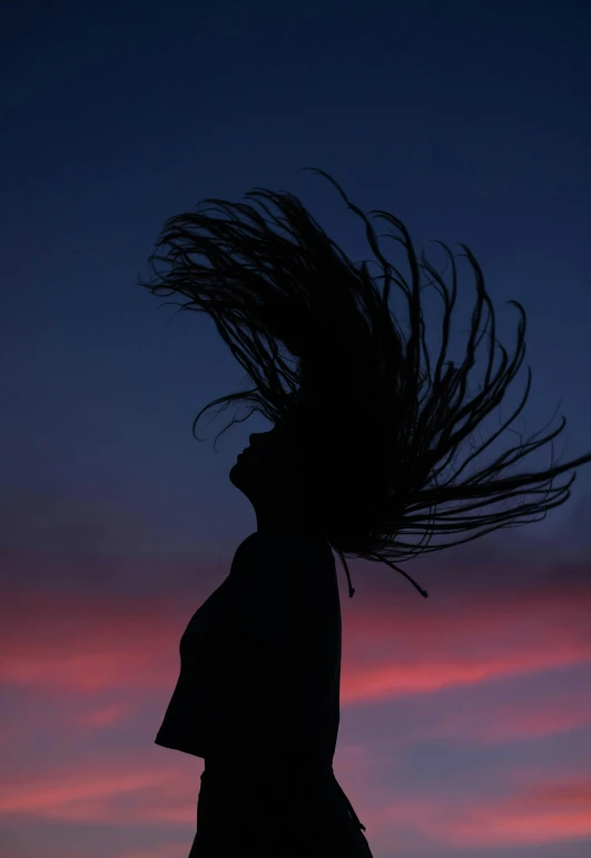 a silhouette of a woman with her hair blowing in the wind, an album cover, pexels contest winner, evening sky, profile image, wild hairs, instagram photo