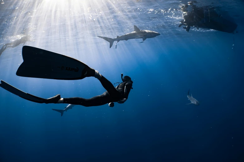 a person swimming in the ocean with sharks in the background, by Will Ellis, unsplash contest winner, national geographic photo award, scuba diving, sirens, morning sunlight