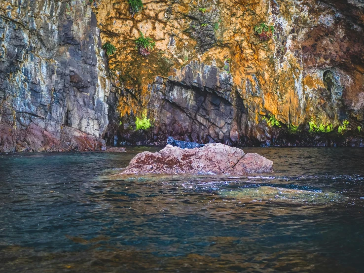 a large rock in the middle of a body of water, pexels contest winner, deep lush vivid colors, kahikatea, photo 8 k, pareidolia