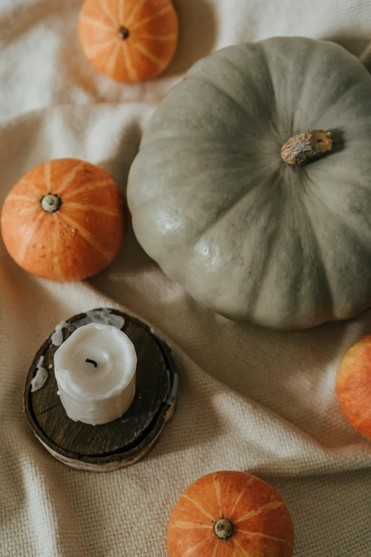 a group of pumpkins sitting on top of a table, a still life, by Carey Morris, trending on unsplash, candle, light grey, full frame image, ignant