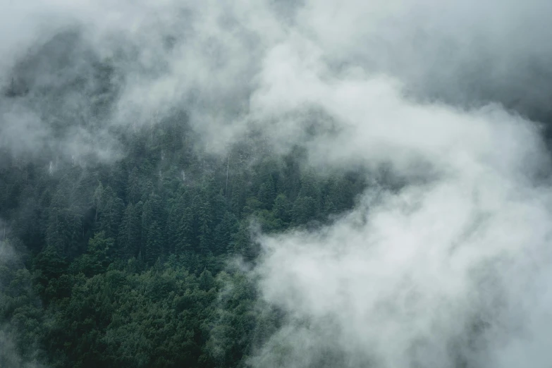 a plane flying over a lush green forest, inspired by Elsa Bleda, pexels contest winner, romanticism, low clouds after rain, the sky is gray, cloud of smoke, alessio albi